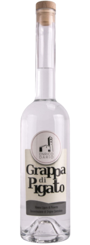 Grappa di Pigato